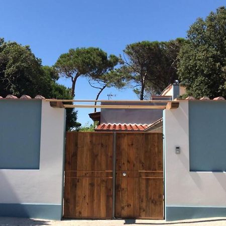 Viareggina Con Giardino Apartment Marina Di Pisa Ngoại thất bức ảnh