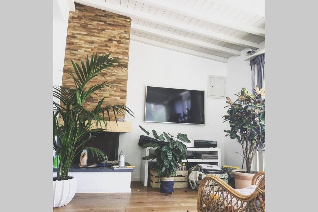 Viareggina Con Giardino Apartment Marina Di Pisa Ngoại thất bức ảnh