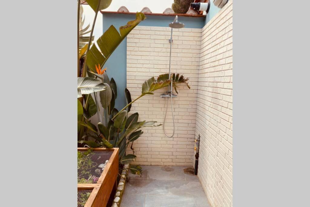 Viareggina Con Giardino Apartment Marina Di Pisa Ngoại thất bức ảnh