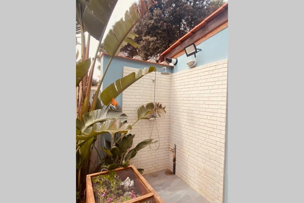 Viareggina Con Giardino Apartment Marina Di Pisa Ngoại thất bức ảnh