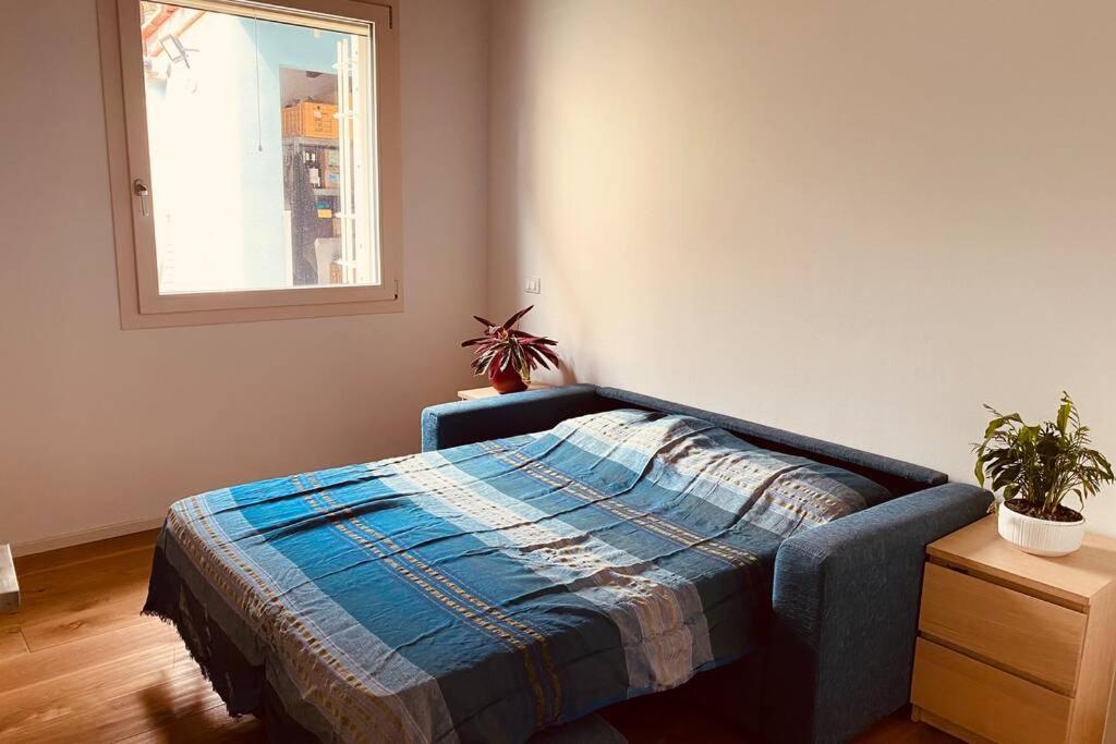 Viareggina Con Giardino Apartment Marina Di Pisa Ngoại thất bức ảnh